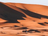 3 Days from Marrakech to Merzouga Desert ending in Fes