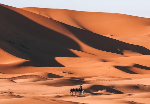Camel ride & night in the sahara desert of Merzouga