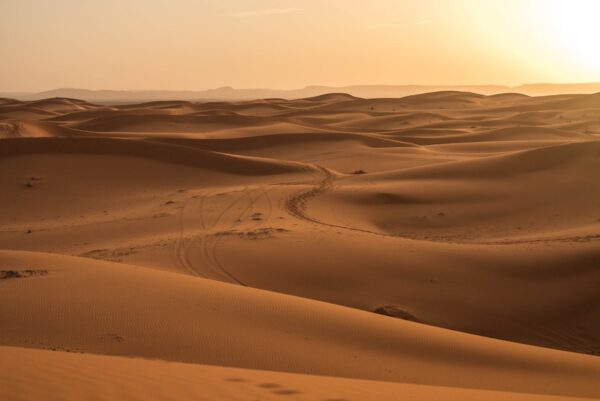 Hiking & Trekking in the Sahara Desert