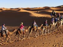 Camel ride & night in the sahara desert of Merzouga