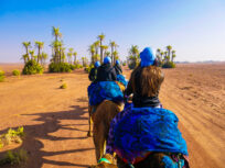 Camel rides in Marrakech