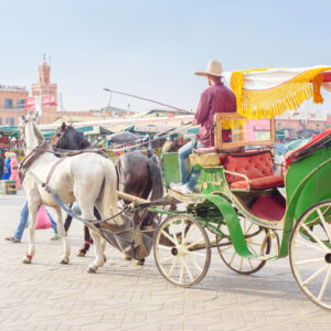 Horse carriage ride in Marrakech