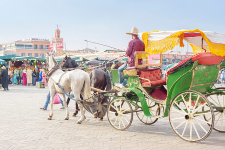 Horse carriage ride in Marrakech