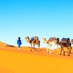 Sahara desert
