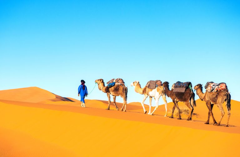 Sahara desert